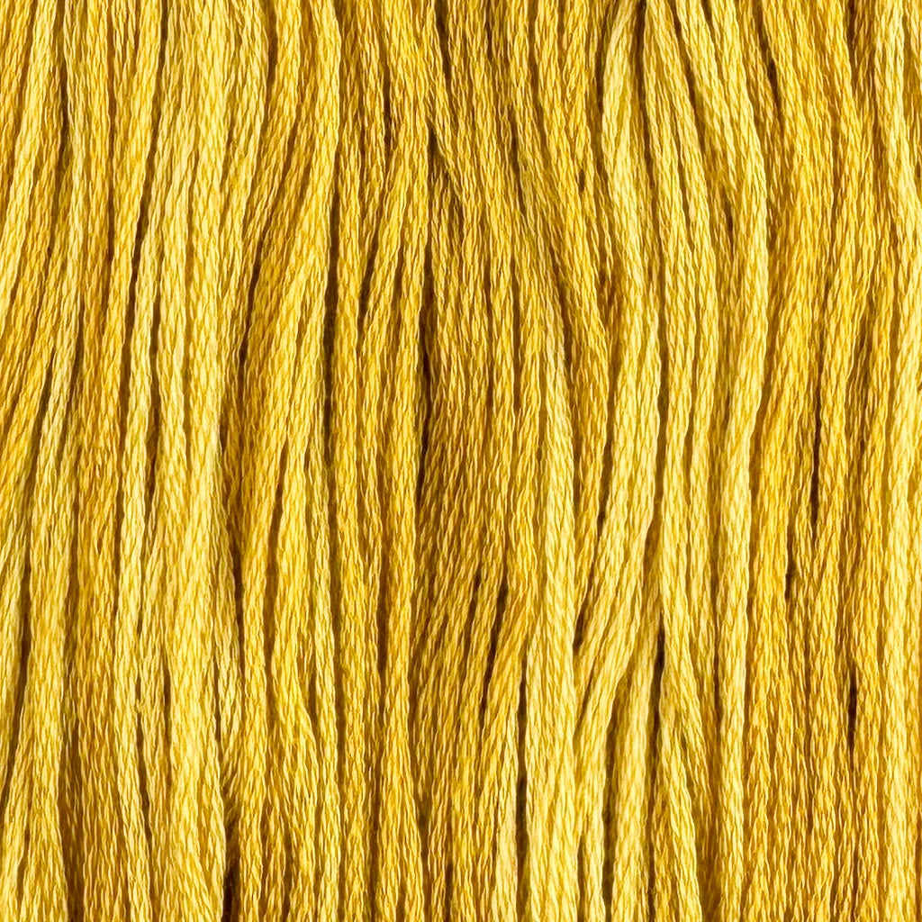 King's Signet - Colour & Cotton Thread