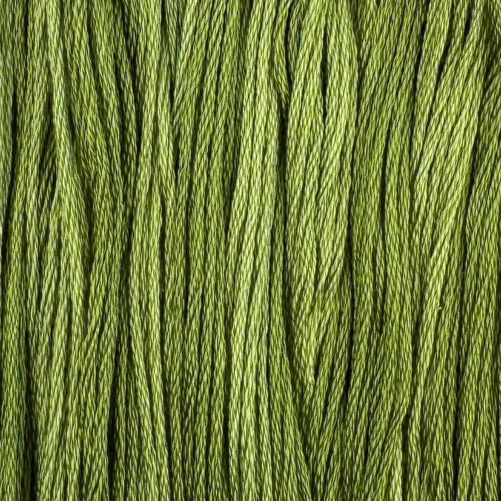 Midsummer's Dream - Color & Cotton Thread