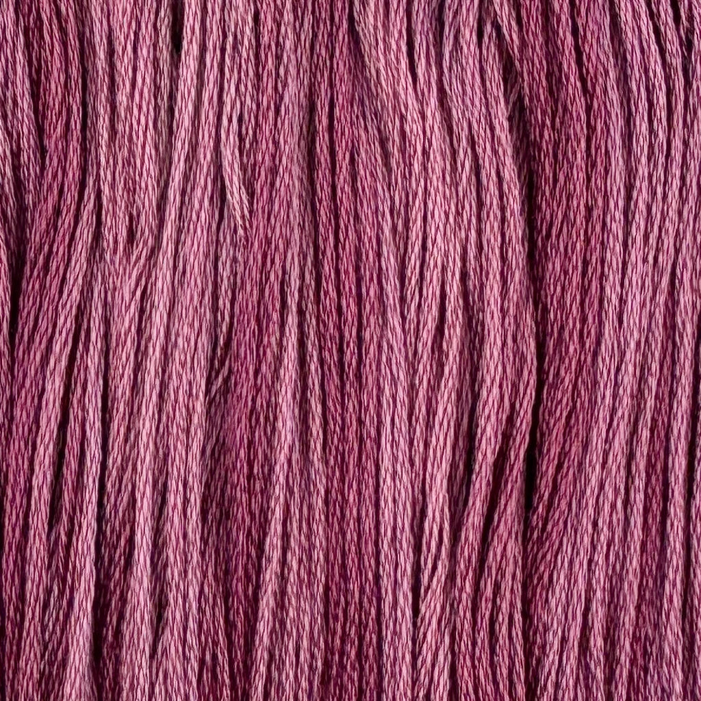 Queen's Mantle - Color & Cotton Thread