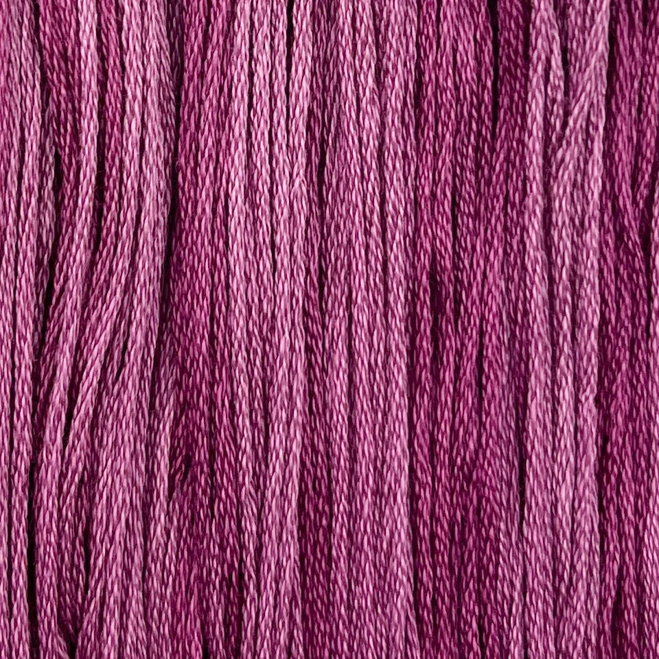 Sea Anemone - Color & Cotton Thread