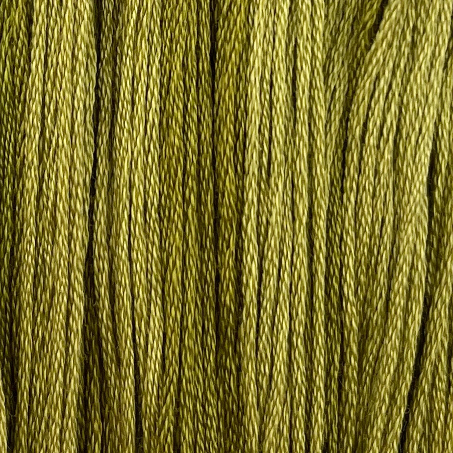 Tadpole - Colour & Cotton Thread