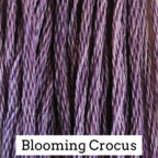 Classic Colorworks Blooming Crocus