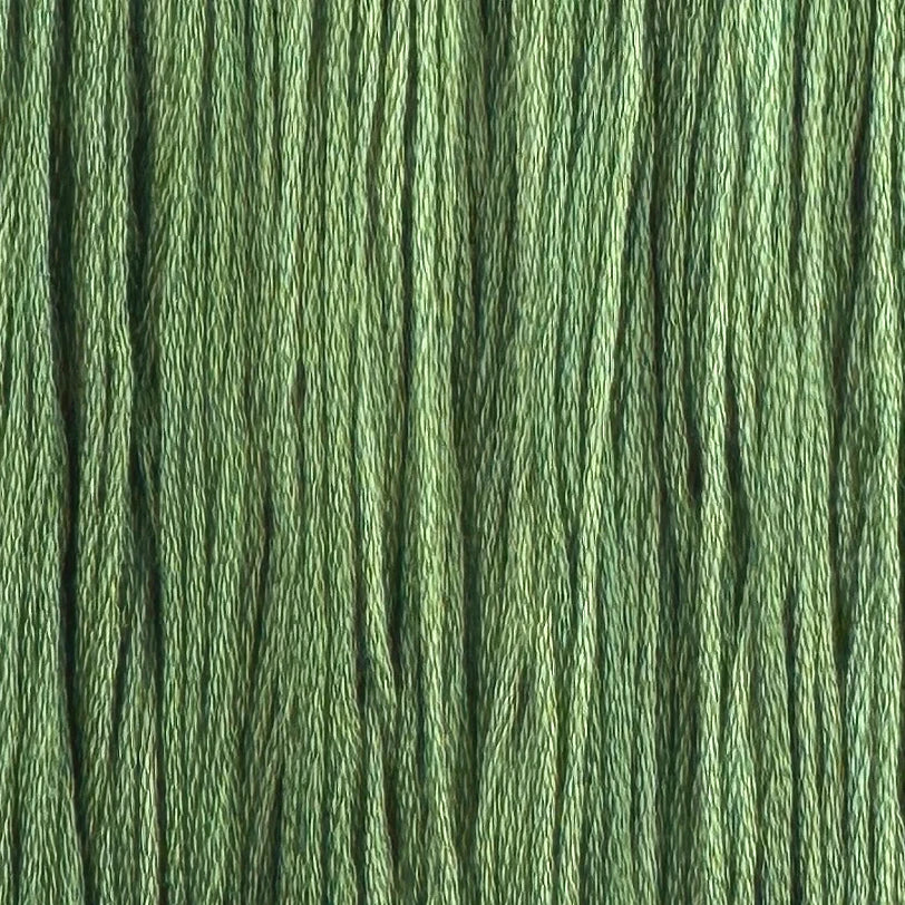 Bonsai - Colour & Cotton Thread