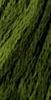The Gentle Art Sampler Threads Green with Envy