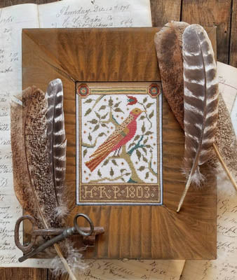 Pennsylvania Bird
