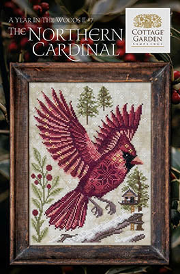 Year in the Woods II - The Northern Cardinal