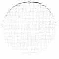32ct Jobelan - White - Wichelt