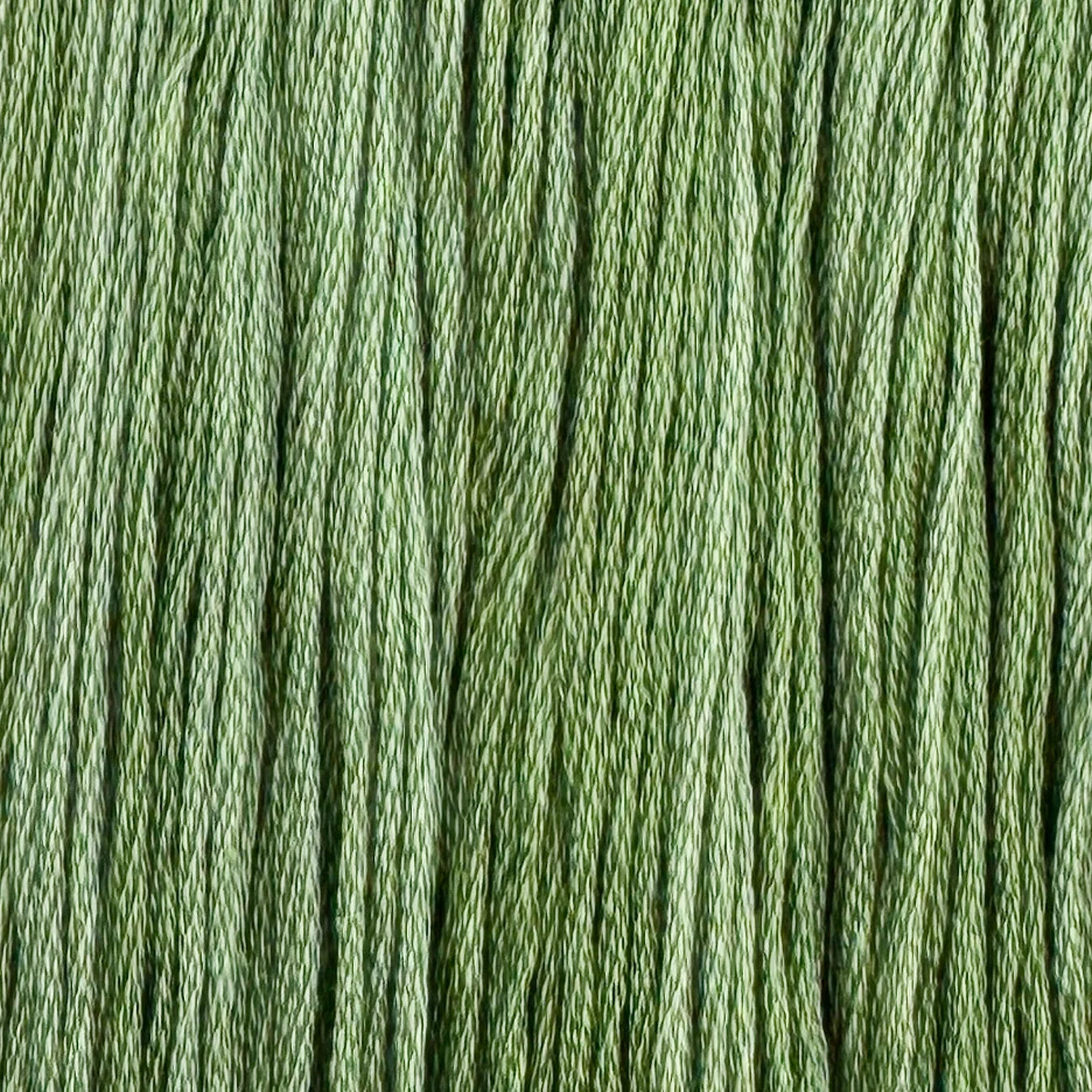 Aloe Vera - Colour & Cotton Thread