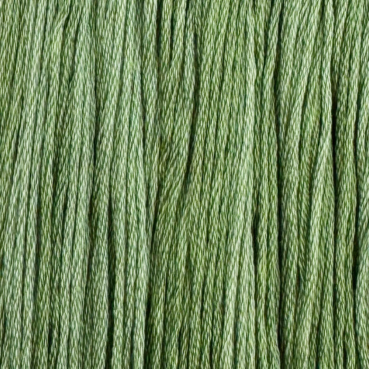 Aloe Vera - Colour & Cotton Thread