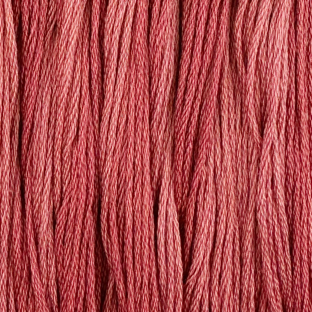 Antique Rose - Color & Cotton Thread
