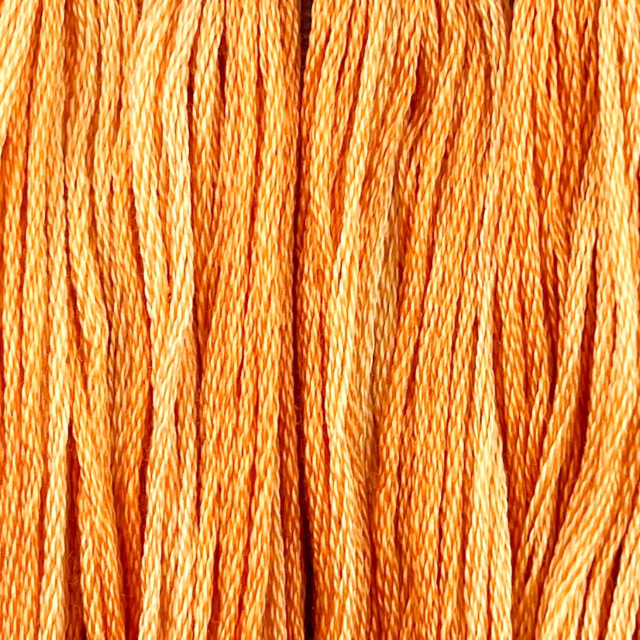 Baby Carrots - Color & Cotton Thread