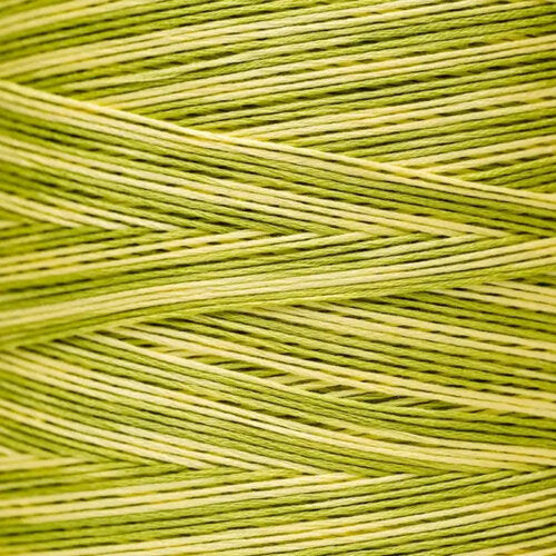 Weeks Dye Works Floss Daffodil
