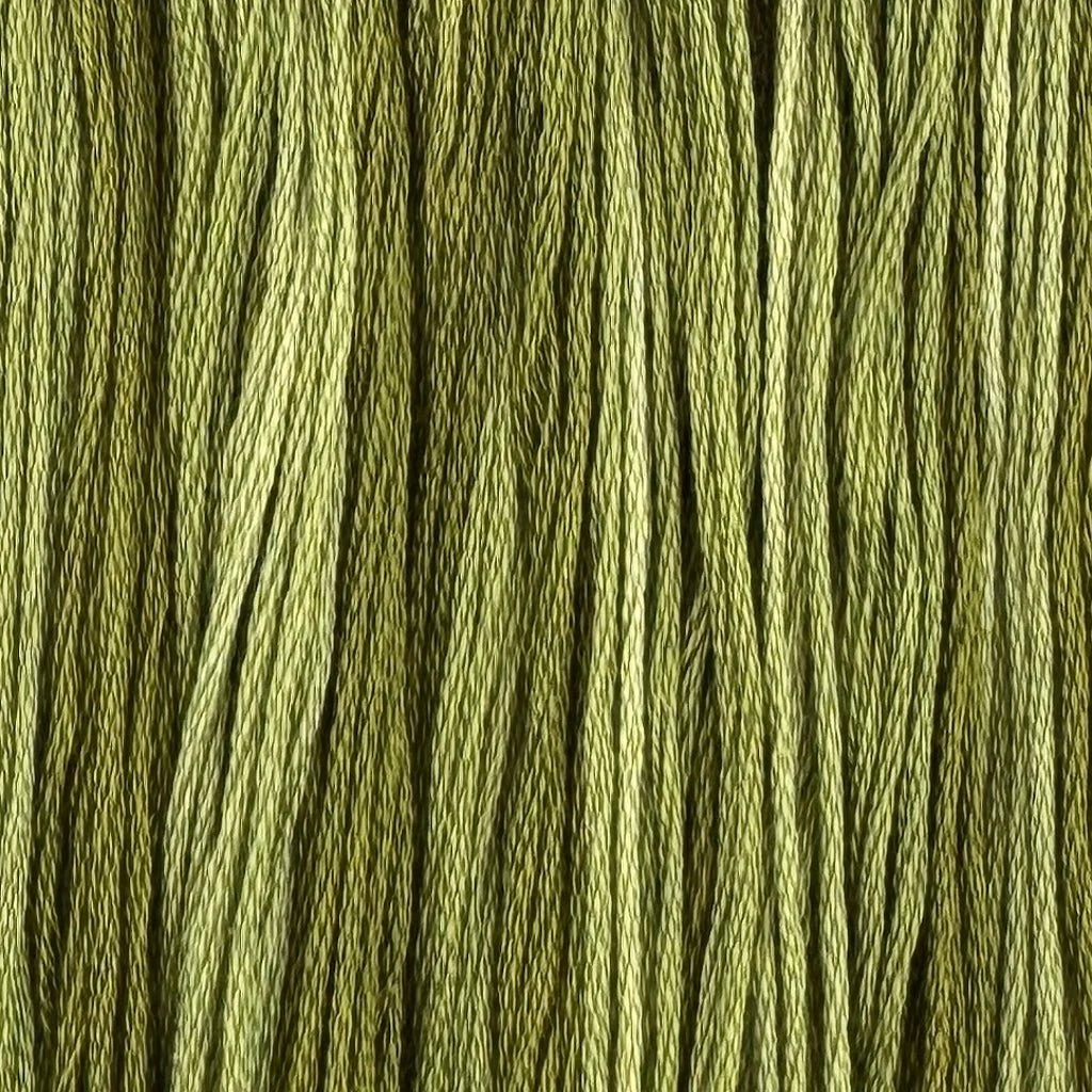 Festive Fir Forest - Color & Cotton Thread