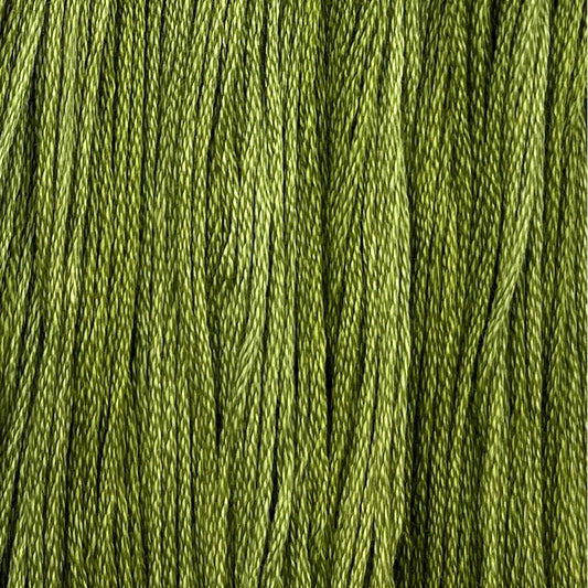 Fritz - Colour & Cotton Thread