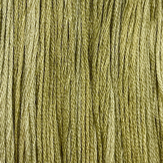 Ghoul - Colour & Cotton Thread