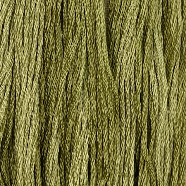 Holly - Colour & Cotton Thread