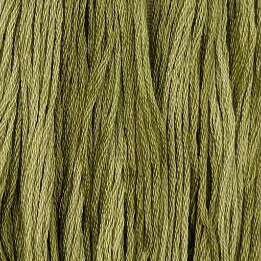 Holly - Colour & Cotton Thread