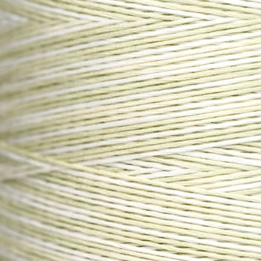 Weeks Dye Works Floss Chantilly