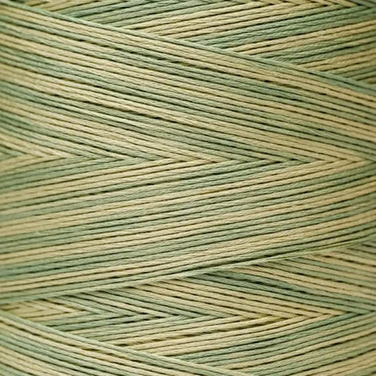 Weeks Dye Works Floss Artichoke