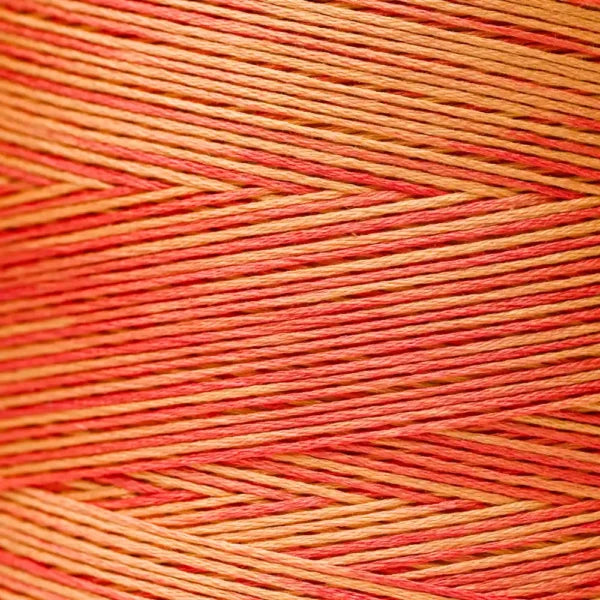 Weeks Dye Works Floss Autumn Leaves