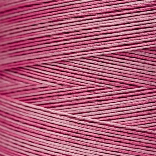Weeks Dye Works Floss Busy Lizzie