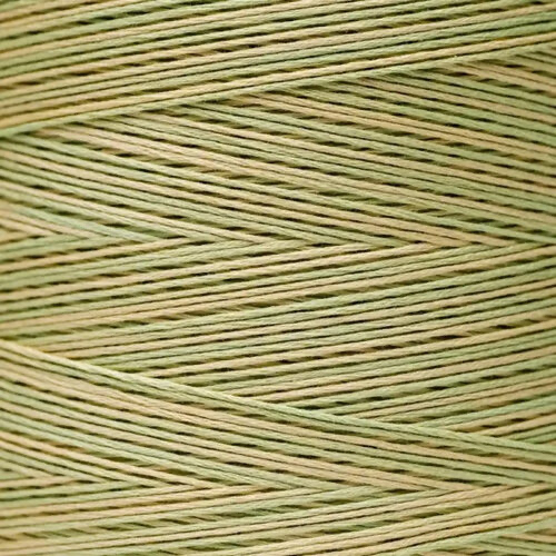 Weeks Dye Works Floss Butter Bean