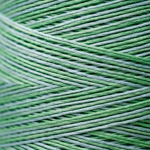 Weeks Dye Works Floss Cactus