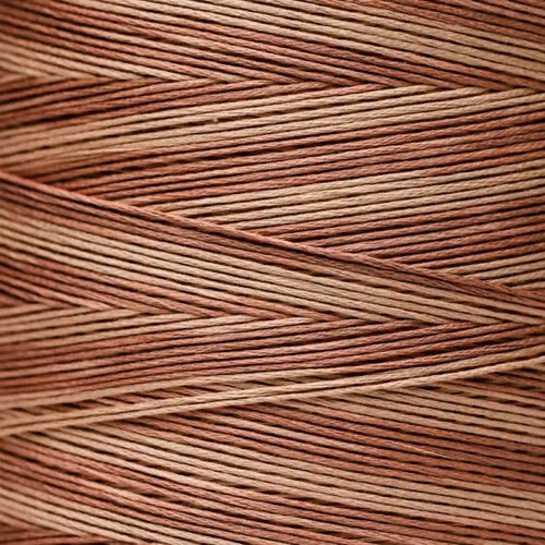 Weeks Dye Works Floss Cappuccino