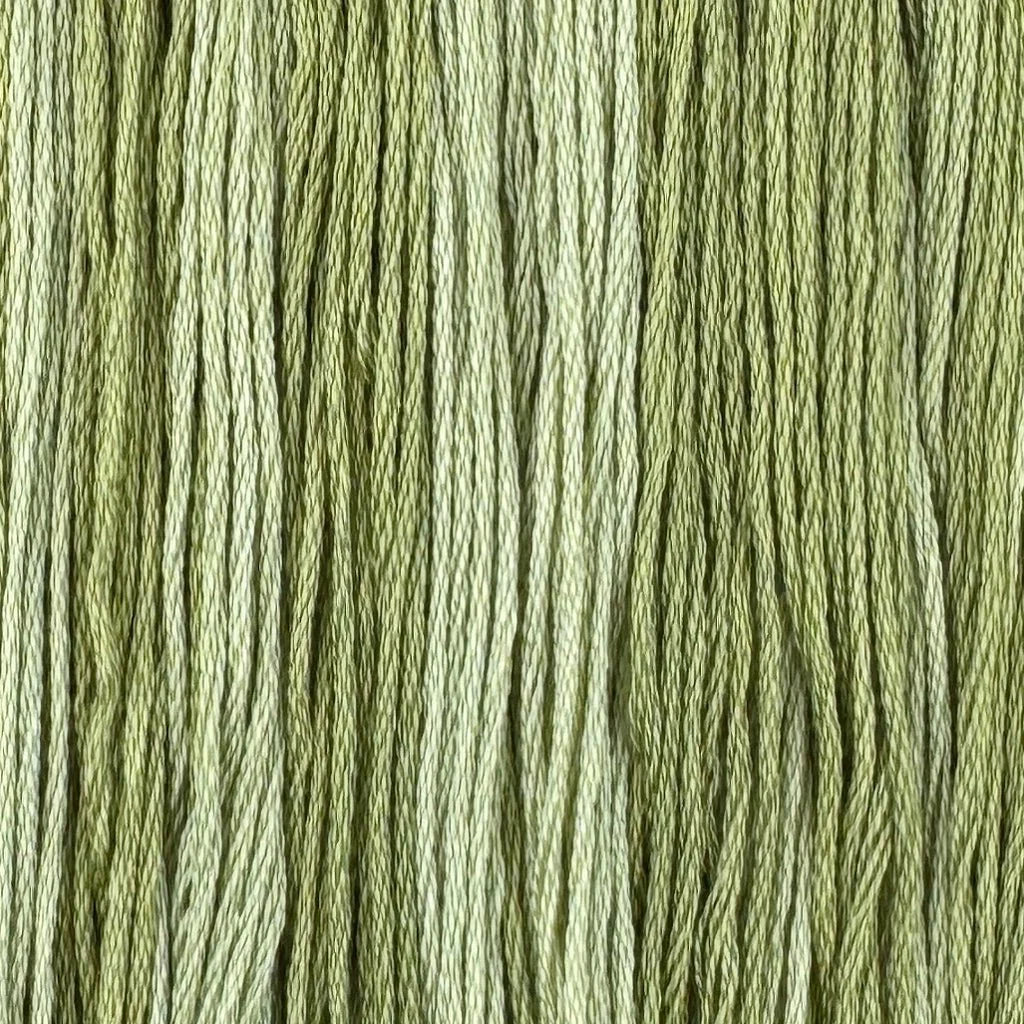 Mistletoe Meadows - Color & Cotton Thread