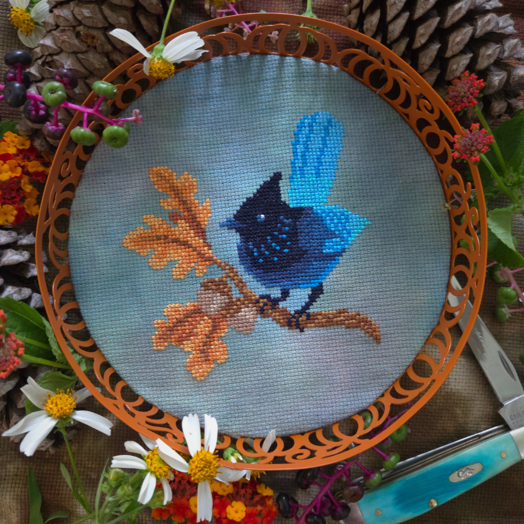 Steller's Jay - BAD Stitch Cross Stitch