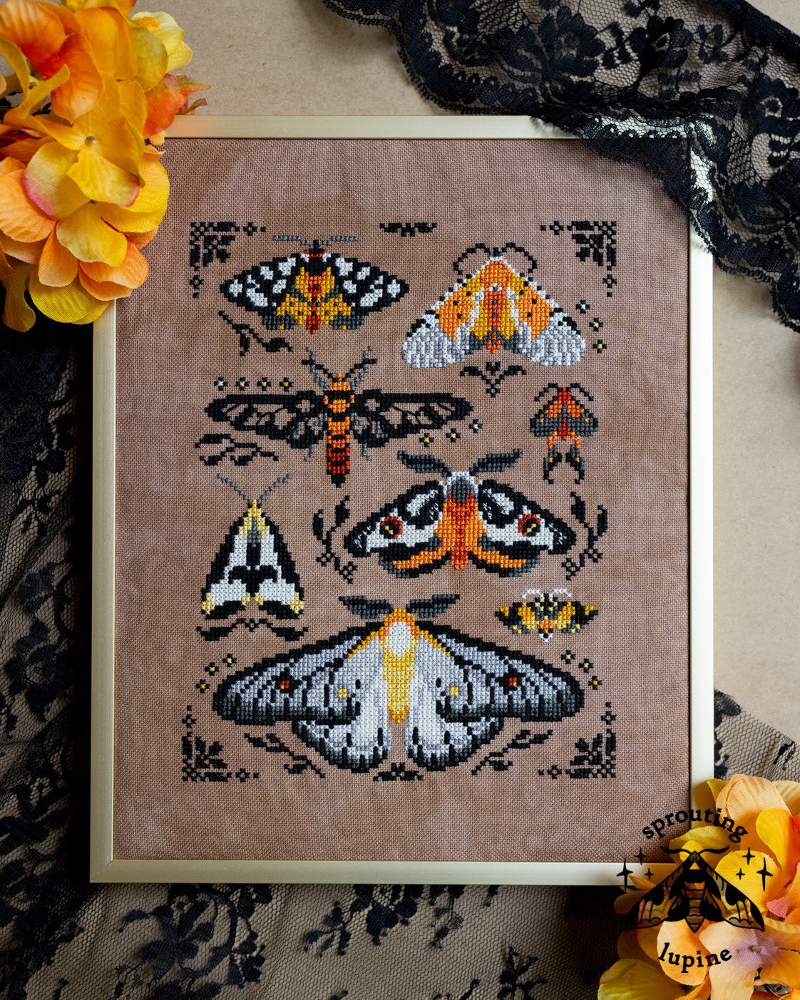 Ochre Wings - Sprouting Lupine