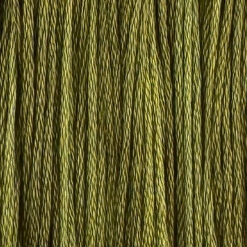Okra - Color & Cotton Thread