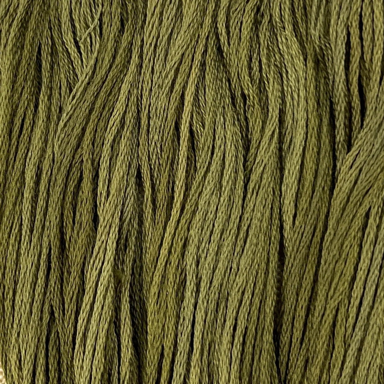 Pine Needles - Colour & Cotton Thread