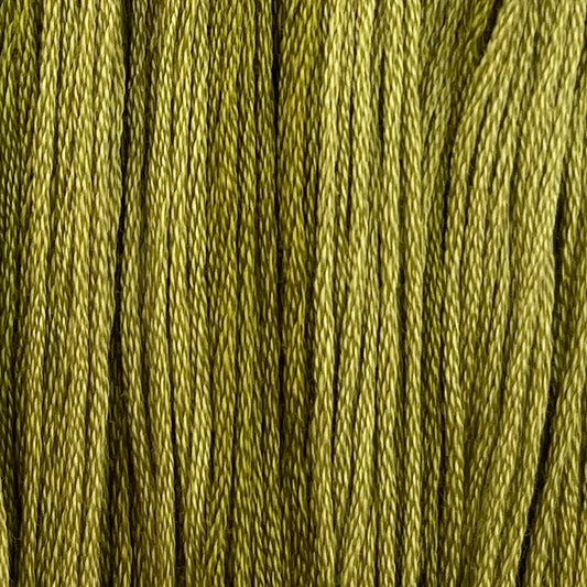 Tadpole - Colour & Cotton Thread