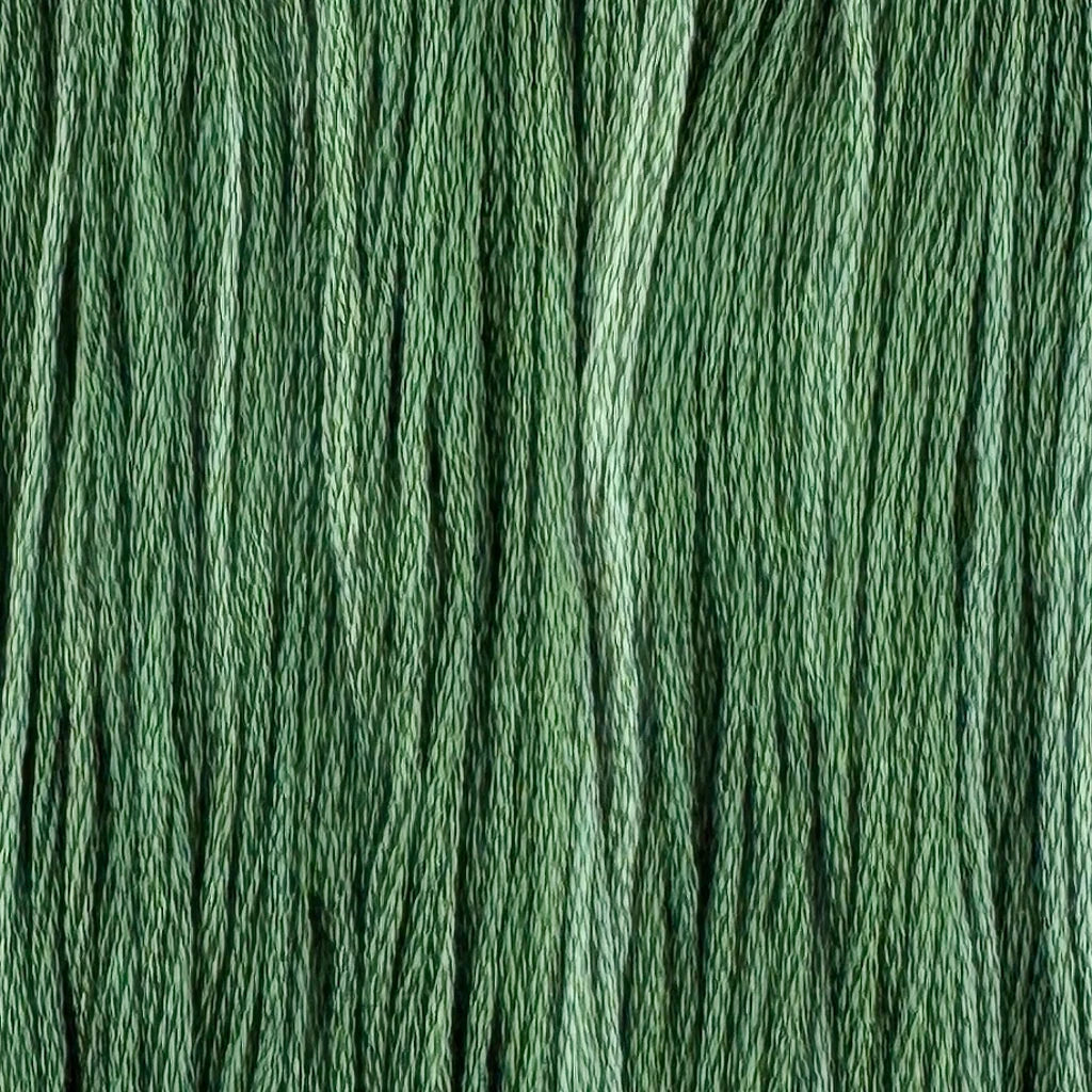 Tapestry - Colour & Cotton Thread