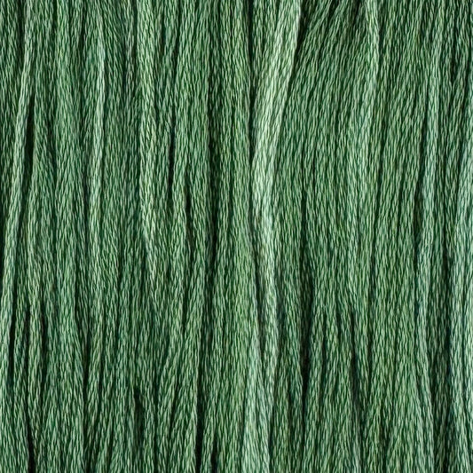 Tapestry - Colour & Cotton Thread