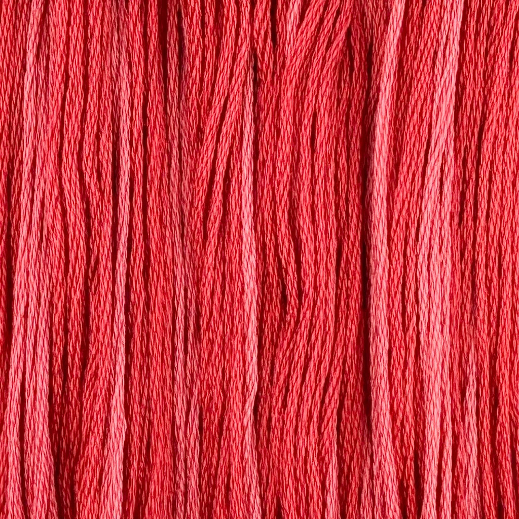 Tudor Rose- Colour & Cotton Thread