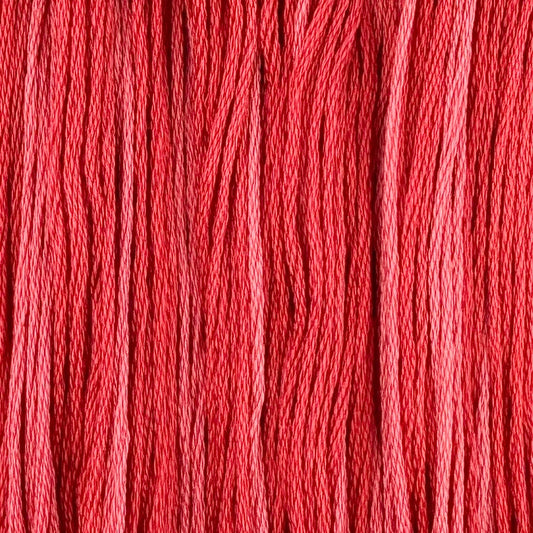 Tudor Rose- Colour & Cotton Thread