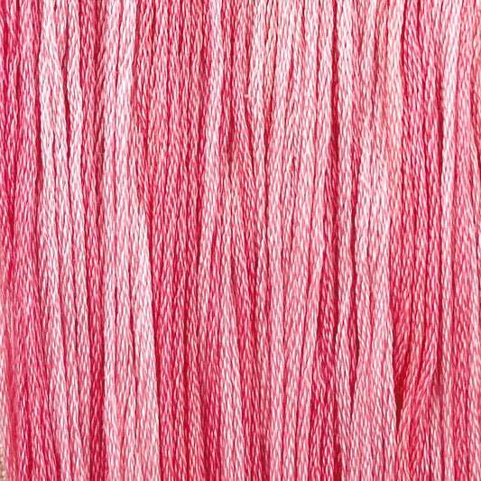 Water Lily - Colour & Cotton Thread