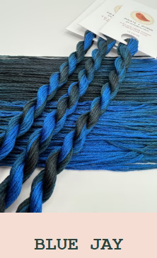 Blue Jay - Pirate + Robin 6 Strand Embroidery Floss