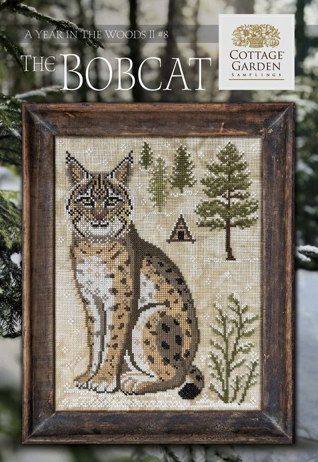 Year in the Woods II - The Bobcat