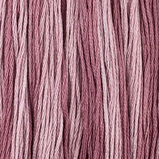 Candy Cane Lane - Colour & Cotton Thread