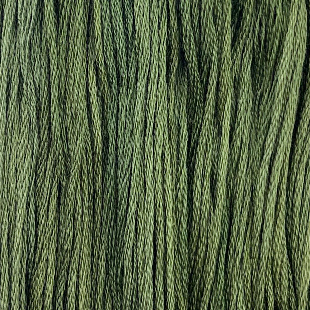 Cilantro - Colour & Cotton Thread