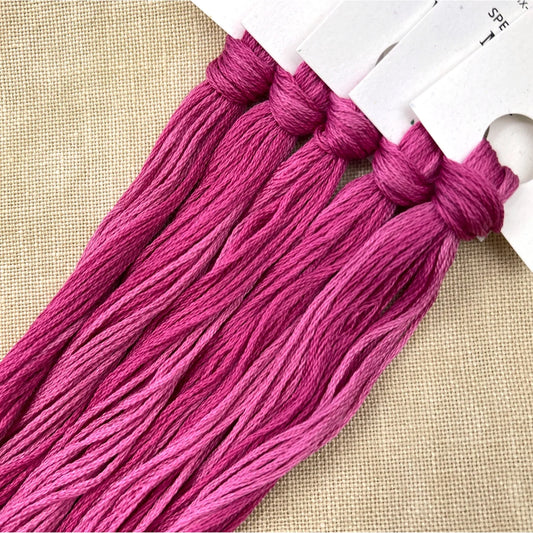 Magnus Violet - Colour & Cotton Thread