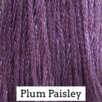 Classic Colorworks Plum Paisley