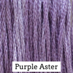 Classic Colorworks Purple Aster