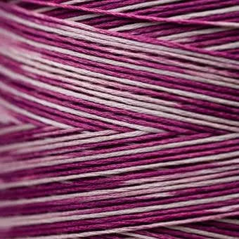 Weeks Dye Works Floss Raspberry Tart