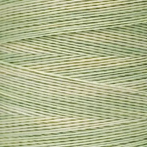 Weeks Dye Works Floss Wasabi